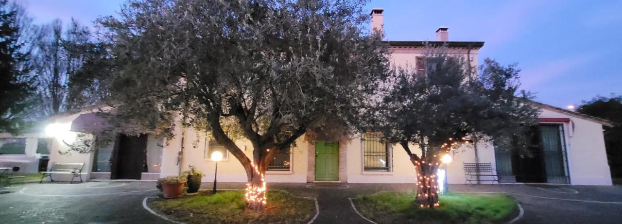 Chez Barnie Favoloso Appartamento Privato In Villa A 800Mt Ingresso Fiera Ρίμινι Εξωτερικό φωτογραφία